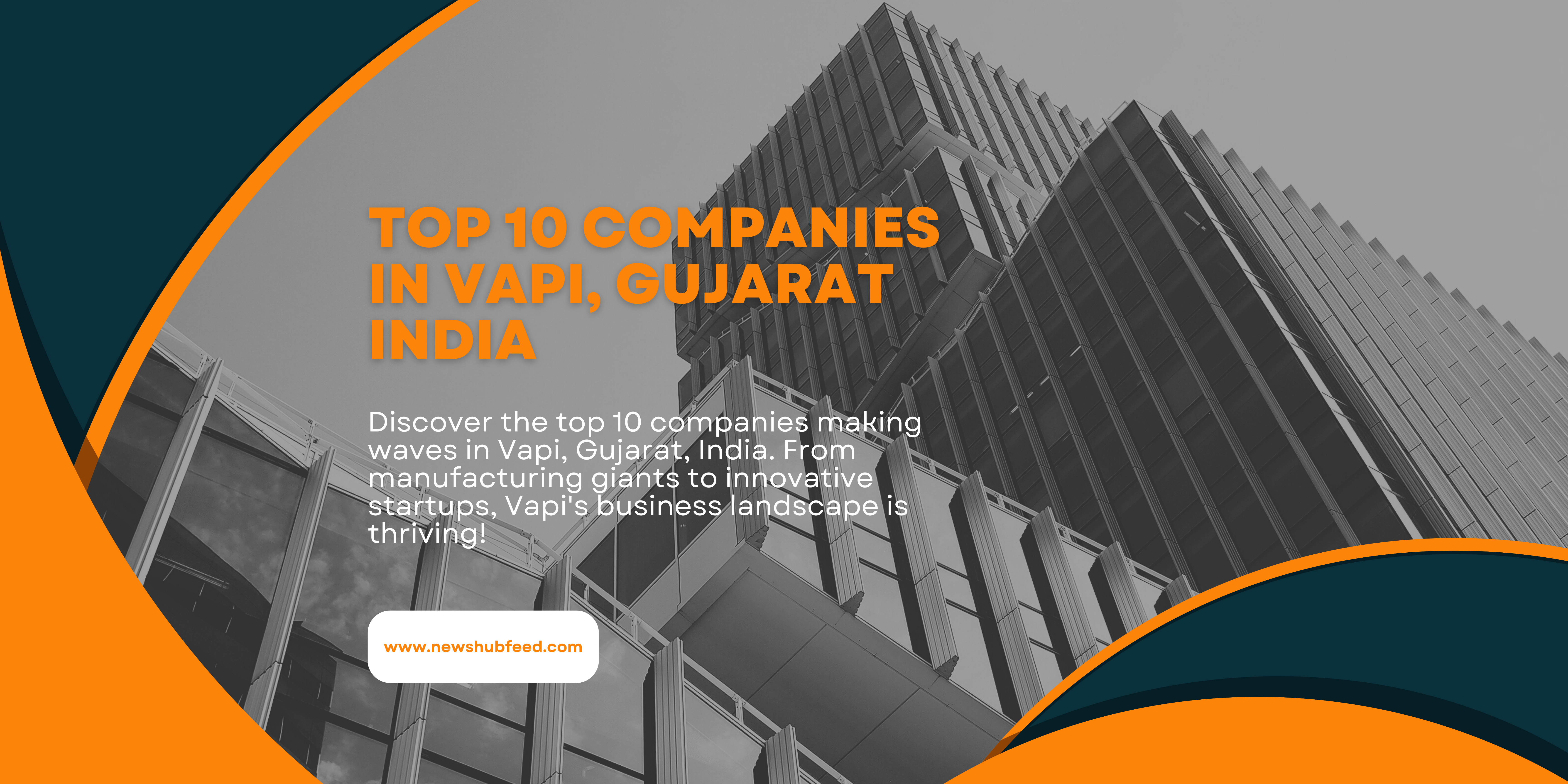 Top 10 Companies in Vapi